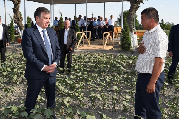 Новые правила для узбекских фермеров