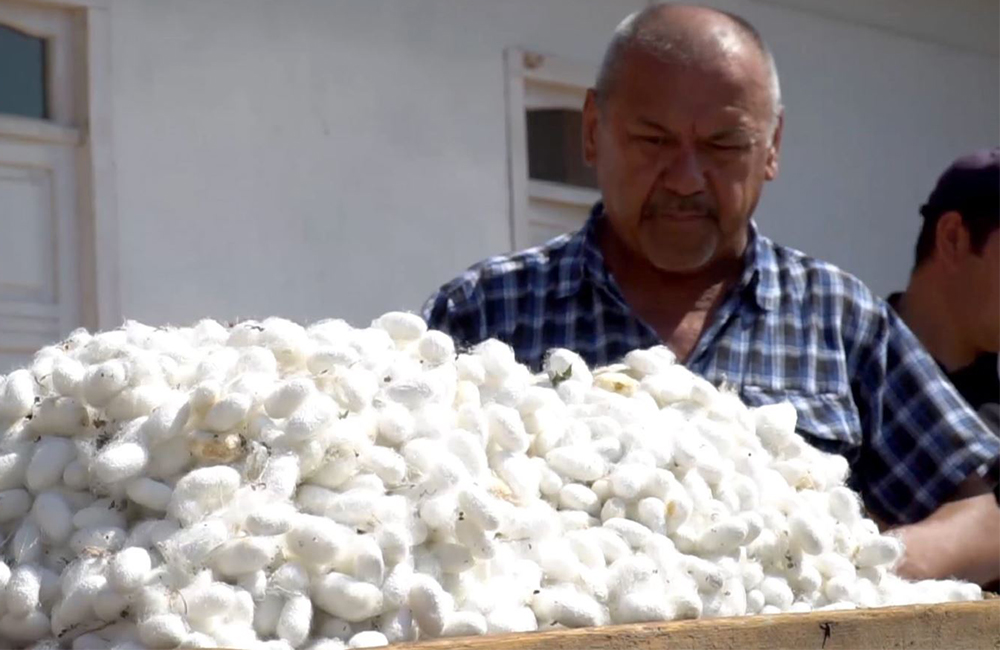 Узбекистан: давление на фермеров продолжается