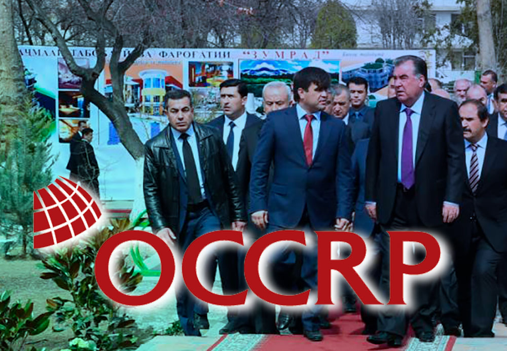 OCCRP нашел очередной бизнес клана Рахмона