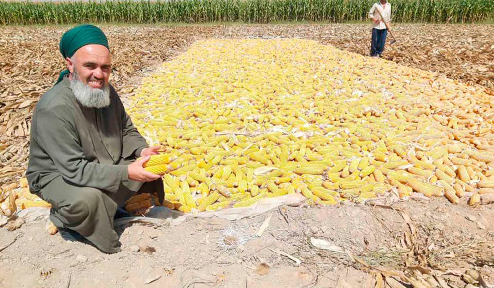 Таджикистан: имам хатибов отправили на сбор осеннего урожая